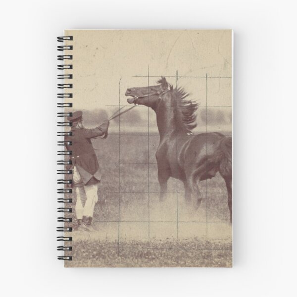 Item preview, German Photographic Study of a Horse in Motion, 1884 designed and sold by AnimaliaStar.