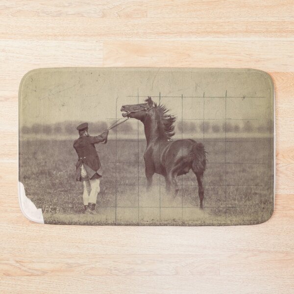 Item preview, German Photographic Study of a Horse in Motion, 1884 designed and sold by AnimaliaStar.