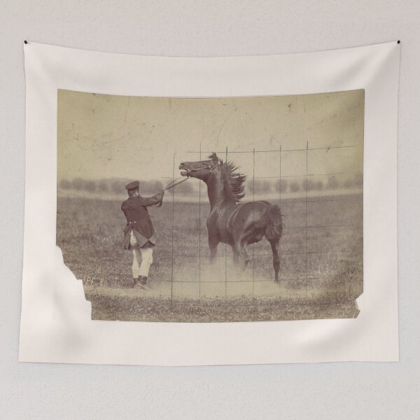 Item preview, German Photographic Study of a Horse in Motion, 1884 designed and sold by AnimaliaStar.