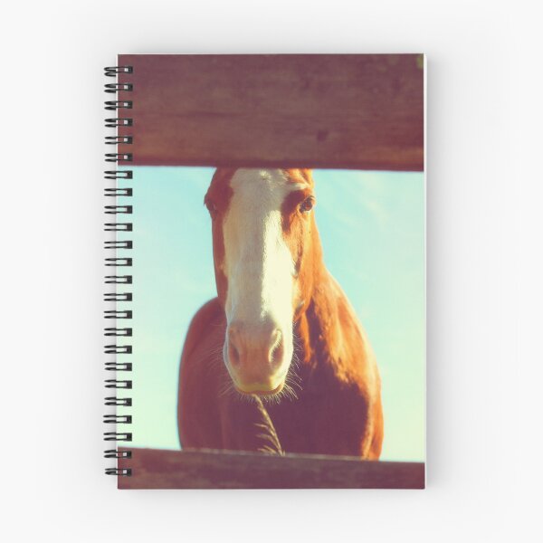Item preview, Fenced In designed and sold by Spring Reilly.