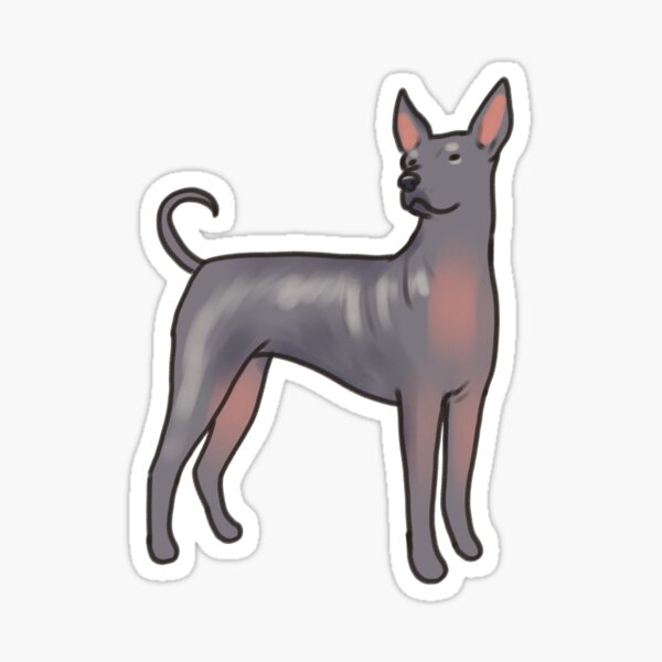 Vista previa del artículo con la obra «arte del perro xoloitzcuintli», diseñado y vendido por Artofmayara.