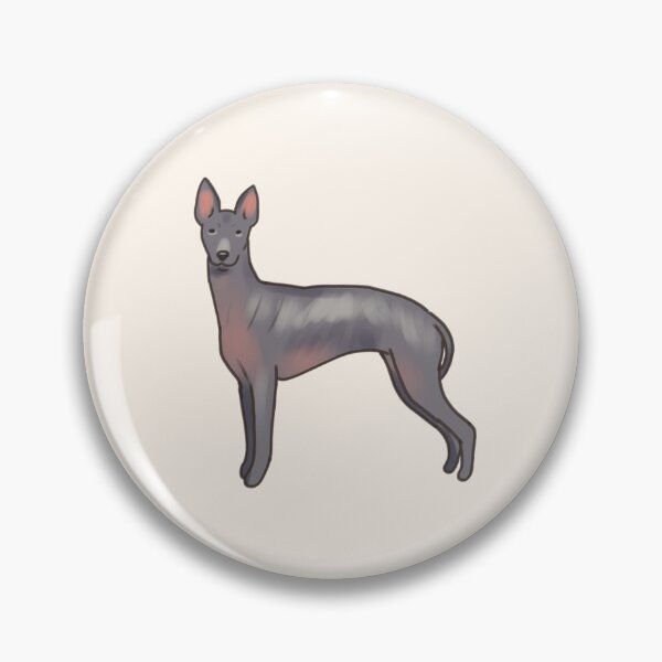 Item preview, Xoloitzcuintli dog drawing  designed and sold by Artofmayara.
