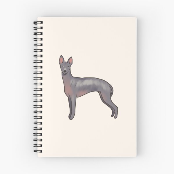 Item preview, Xoloitzcuintli dog drawing  designed and sold by Artofmayara.