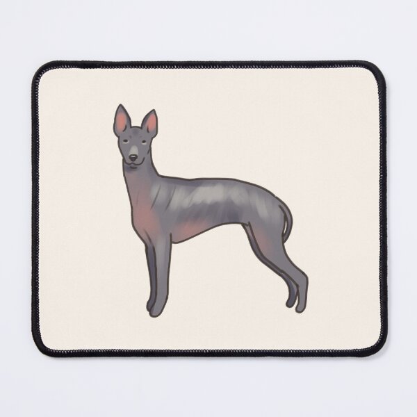 Item preview, Xoloitzcuintli dog drawing designed and sold by Artofmayara.