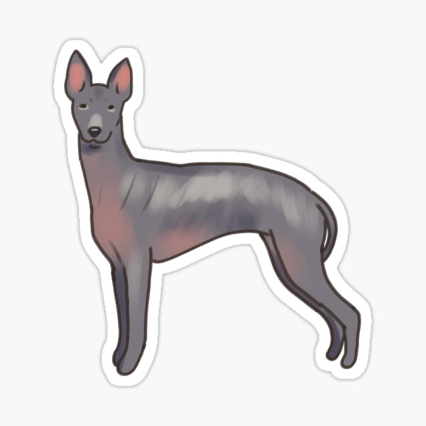 Vista previa del artículo con la obra «Dibujo de perro xoloitzcuintli », diseñado y vendido por Artofmayara.