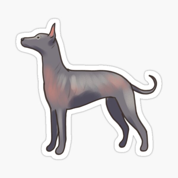 Vista previa del artículo con la obra «Ilustración del perro xoloitzcuintli », diseñado y vendido por Artofmayara.