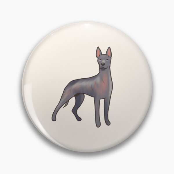 Item preview, Xoloitzcuintli dog   designed and sold by Artofmayara.