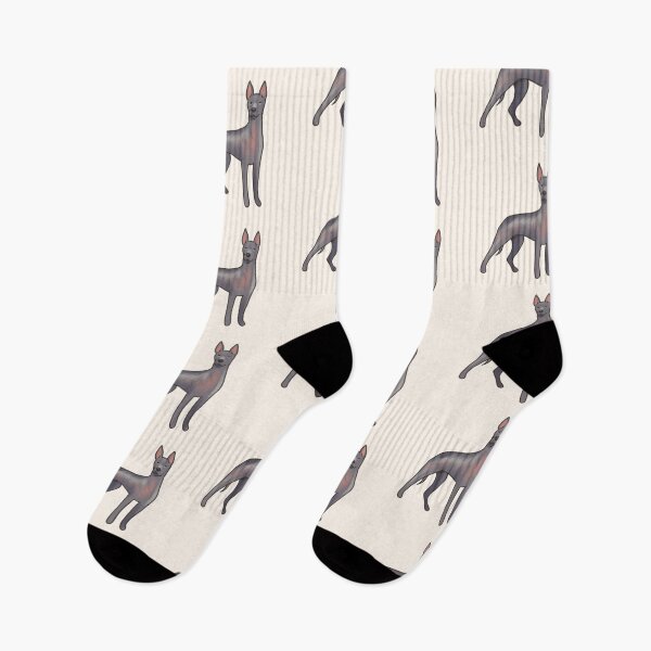 Item preview, Xoloitzcuintli dog   designed and sold by Artofmayara.