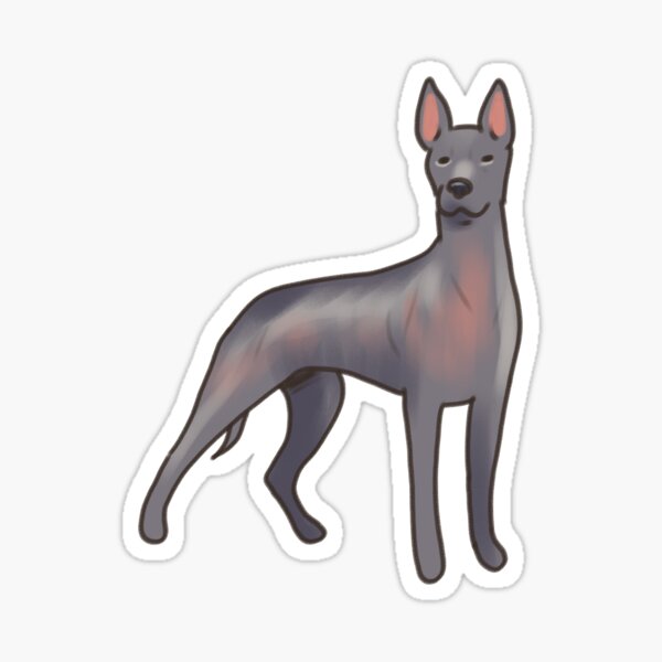 Vista previa del artículo con la obra «perro xoloitzcuintli  », diseñado y vendido por Artofmayara.