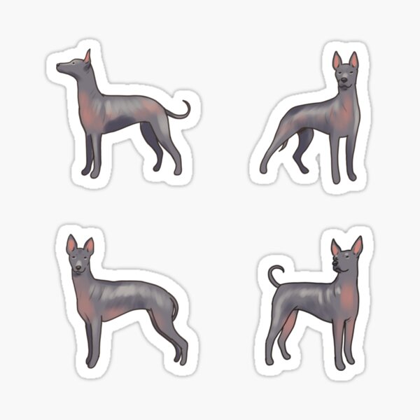 Vista previa del artículo con la obra «manada de perros xoloitzcuintli », diseñado y vendido por Artofmayara.