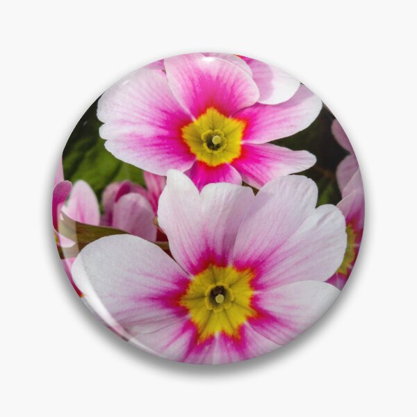 Item preview, pink primula designed and sold by yunee.
