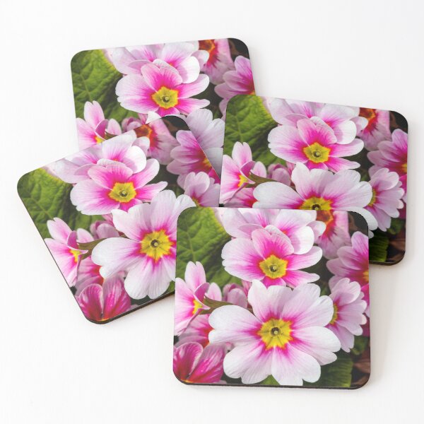 Item preview, pink primula designed and sold by yunee.