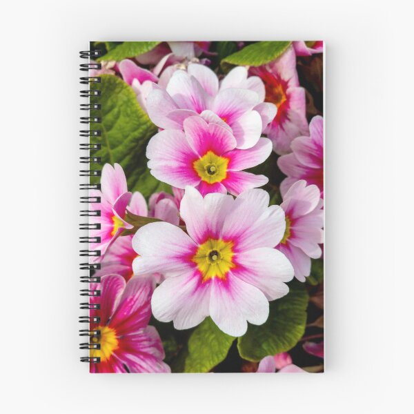 Item preview, pink primula designed and sold by yunee.
