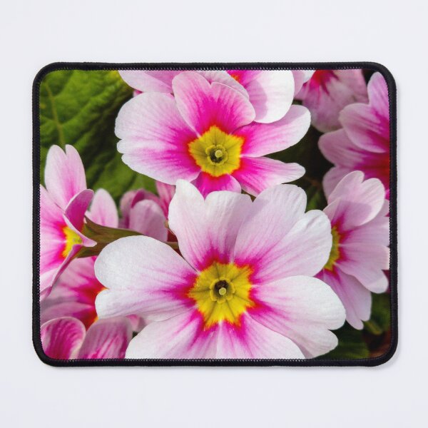 Item preview, pink primula designed and sold by yunee.