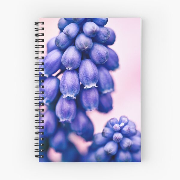 Item preview, Muscari Buds designed and sold by David Bowman.