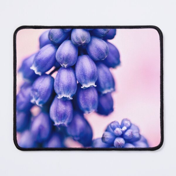 Item preview, Muscari Buds designed and sold by David Bowman.