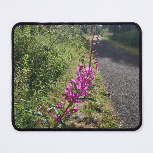 Item preview, Single rosebay willowherb flower photograph designed and sold by esvb.