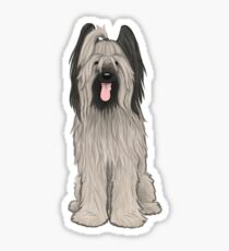 Briard Sticker