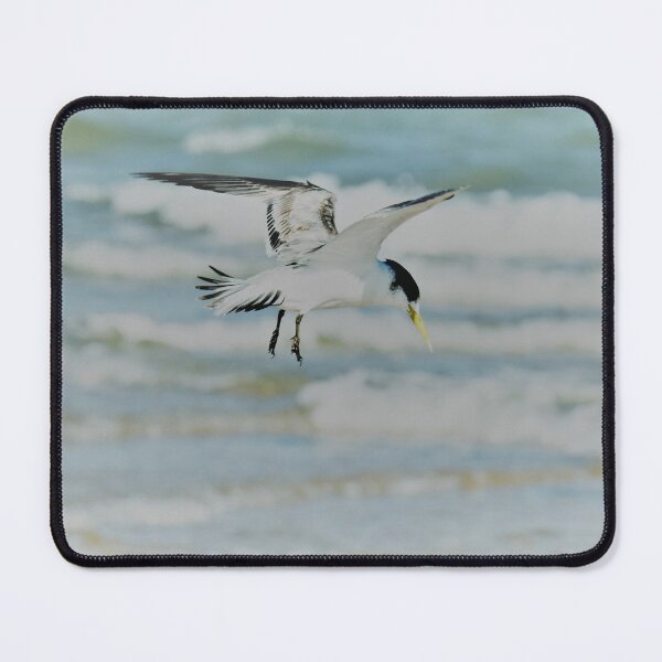 Item preview, Crested Tern takes flight as waves roll in designed and sold by imaginethis.