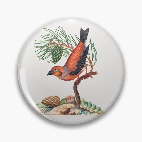 Item preview, Red crossbill with Scots pine (1768) designed and sold by RabbitK.