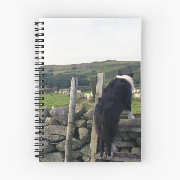 Item preview, Life in the Old Dog yet designed and sold by Michael Haslam.