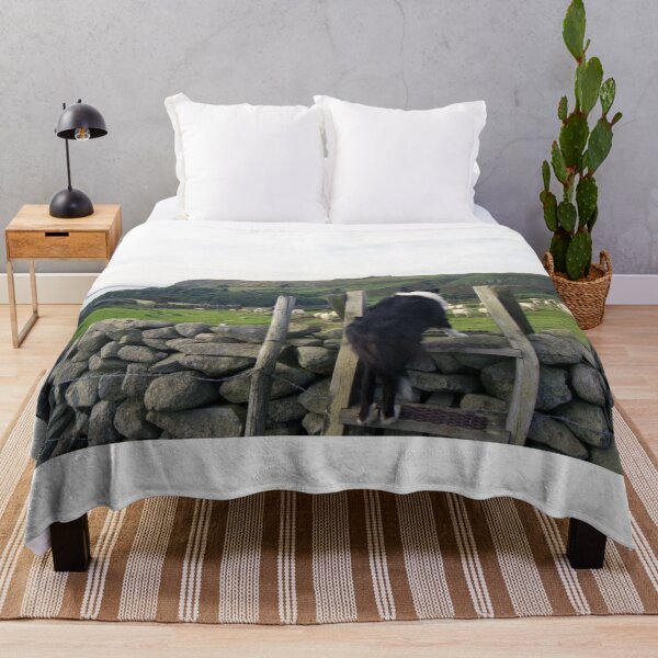 Item preview, Life in the Old Dog yet designed and sold by Michael Haslam.