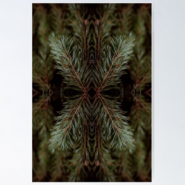 Item preview, Conifer designed and sold by PatternOfNature.