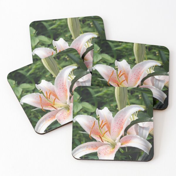 Item preview, Oriental Hybrid Lily in White, Peach and Pink designed and sold by taiche.