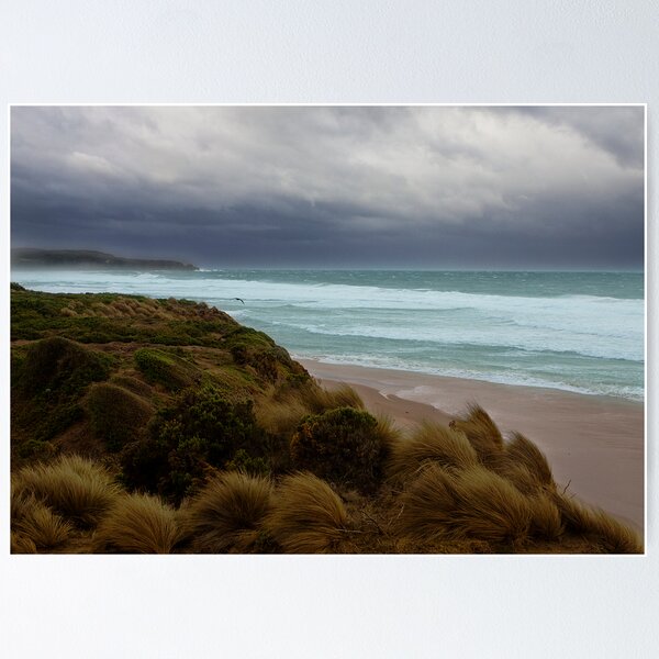 Item preview, Wild morning at Woolamai designed and sold by Vicki Moritz.