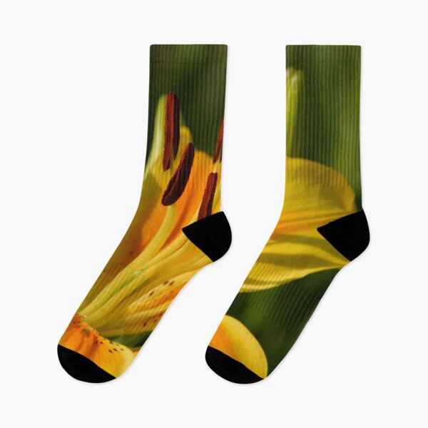 Item preview, Stunningly Beautiful Yellow Lily Close Up designed and sold by taiche.