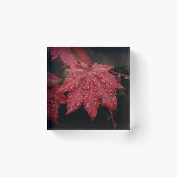 Item preview, Red is Best designed and sold by Charles & Patricia   Harkins ~ Picture Oregon.