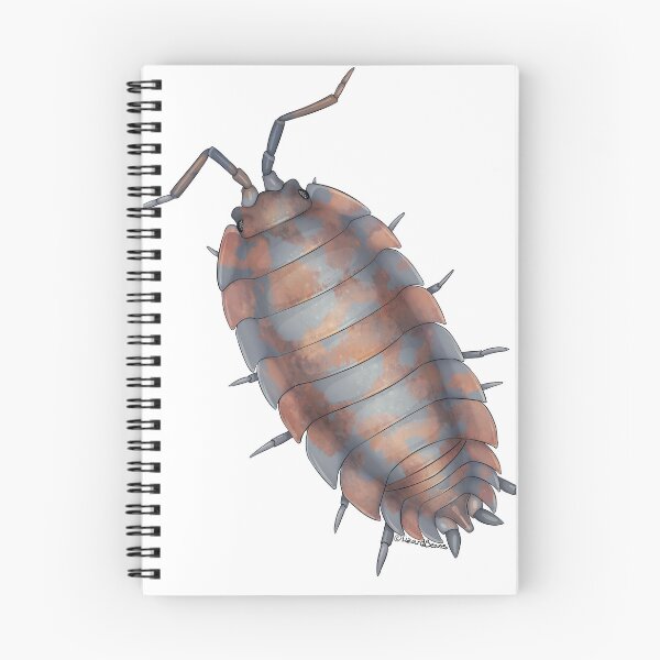 Item preview, porcellio scaber calico designed and sold by LizardBeans.