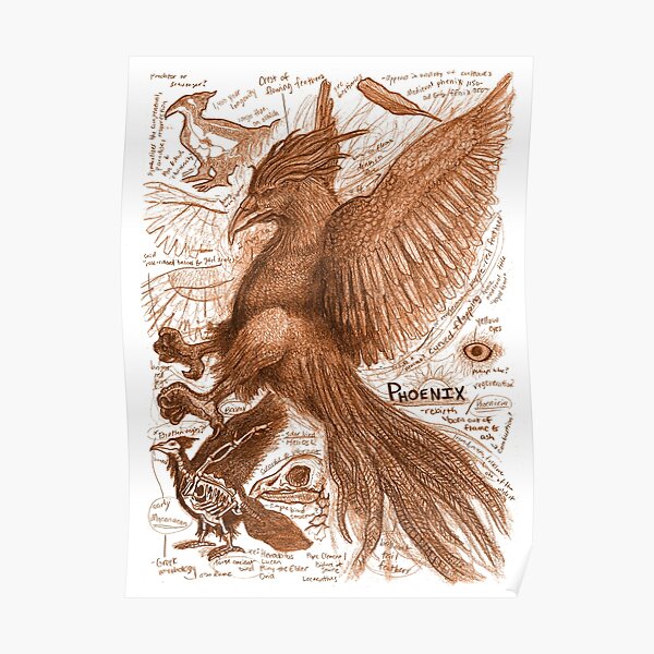 "EgertronPuck's Orange Phoenix Anatomy Illustration" Poster for Sale by