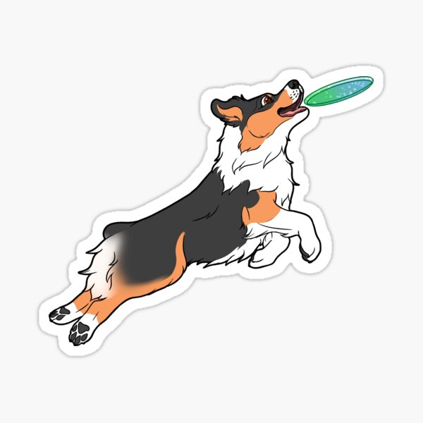 Artikel-Vorschau von Black Tri Australian Shepherd Fangscheibe, designt und verkauft von MysticLaceArt.