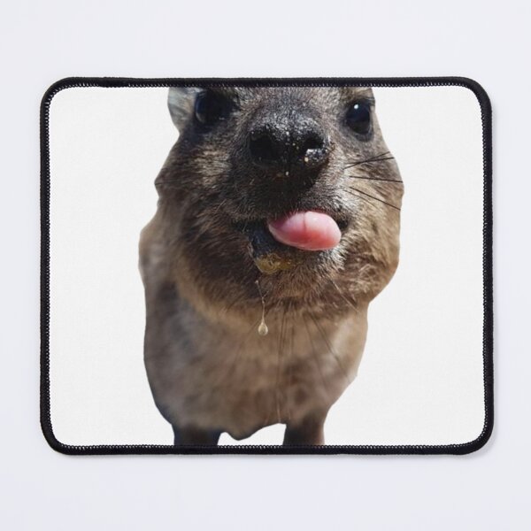 Item preview, Silly rock hyrax sticking out tongue designed and sold by SillyLittleSnek.