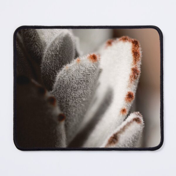 Item preview, Fuzzy Green Panda Plant Succulent designed and sold by FeatherfallSTU.