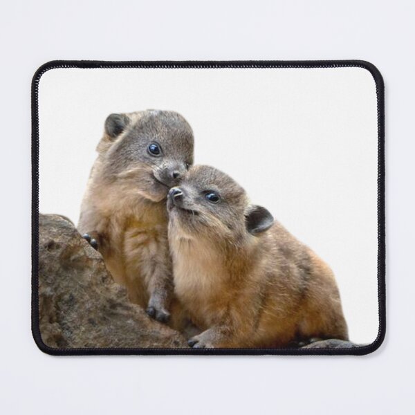 Item preview, Baby rock hyrax on rocks designed and sold by SillyLittleSnek.