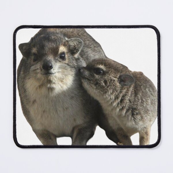 Item preview, Cute mom and baby hyrax designed and sold by SillyLittleSnek.