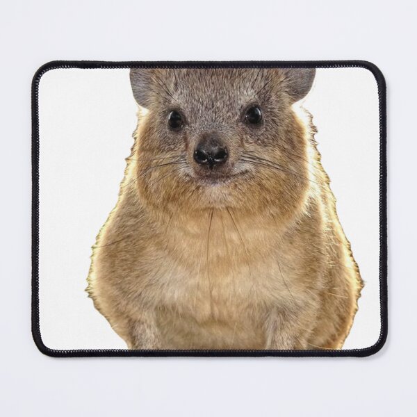 Item preview, adorable rock hyrax designed and sold by SillyLittleSnek.