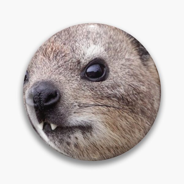 Item preview, rock hyrax face designed and sold by SillyLittleSnek.