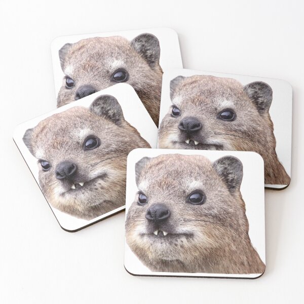 Item preview, rock hyrax face designed and sold by SillyLittleSnek.