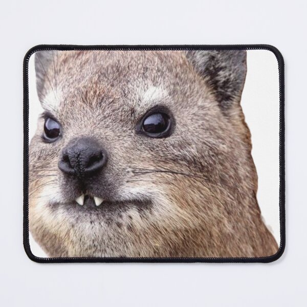 Item preview, rock hyrax face designed and sold by SillyLittleSnek.