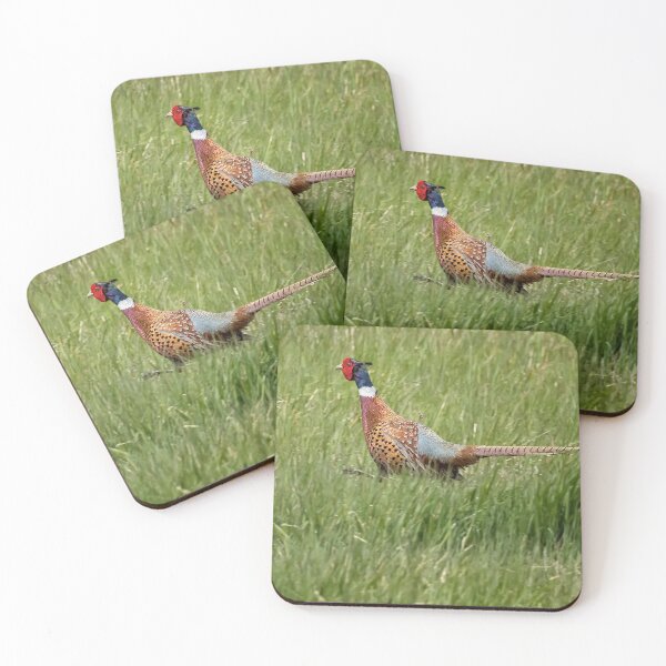 Item preview, Ring-necked Pheasant designed and sold by Belinda Greb Photography.
