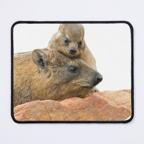 Item preview, rock hyrax with mom designed and sold by SillyLittleSnek.