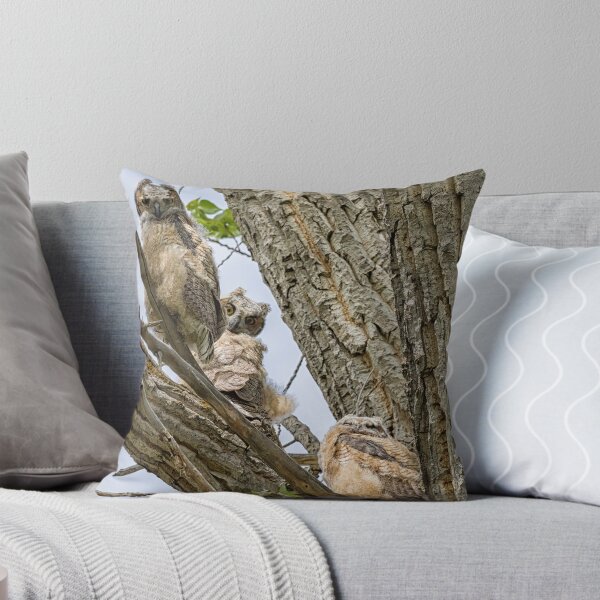 Item preview, Revisiting the Three Great Horned Owlets designed and sold by Belinda Greb Photography.
