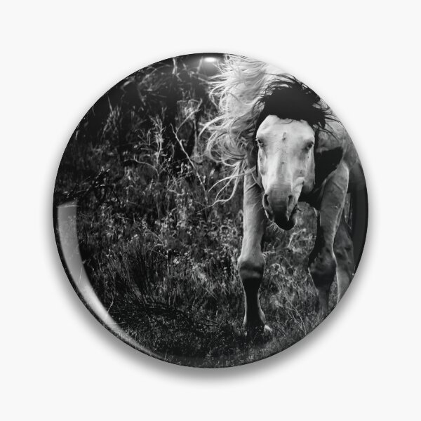 Item preview, Wild Thing - South Steens Herd bw designed and sold by Belinda Greb Photography.