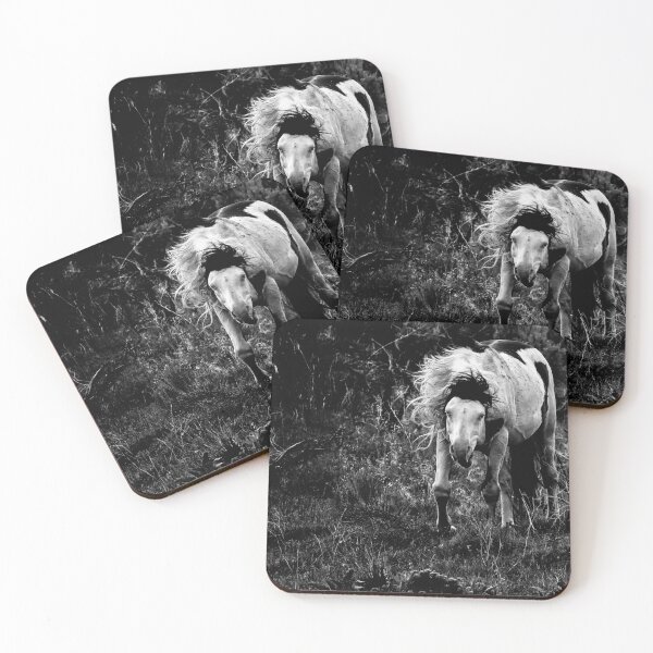 Item preview, Wild Thing - South Steens Herd bw designed and sold by Belinda Greb Photography.