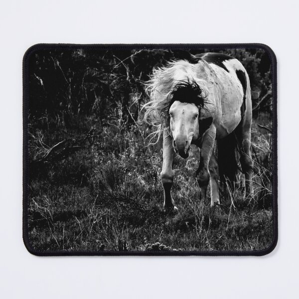 Item preview, Wild Thing - South Steens Herd bw designed and sold by Belinda Greb Photography.