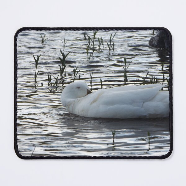 Item preview, Sleeping Duck designed and sold by This and That.