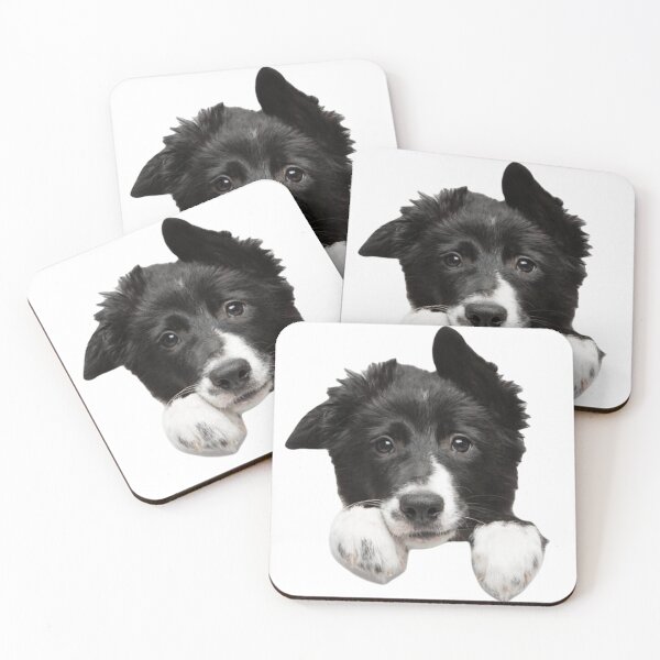 Item preview, Cute border collie designed and sold by SillyLittleSnek.